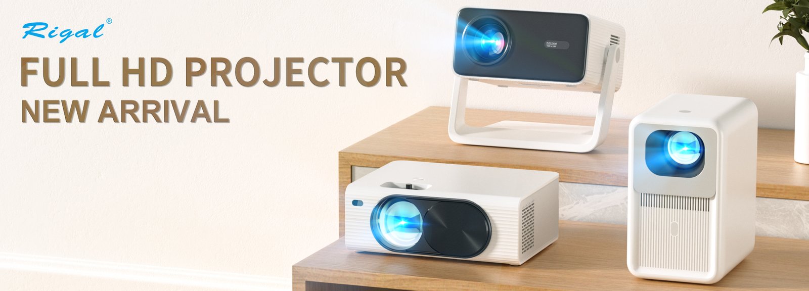 Rigal LCD Projectors